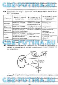 контрольные работы по русскому языку 2 класс крылова 2017 Biboletova Enjoy English 6 Klass Skachat Besplatno Workbook Literature Accounting Software