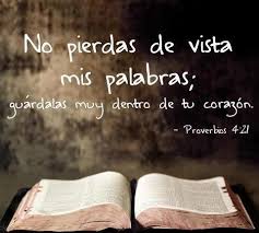 Check spelling or type a new query. Imagenes Con Citas Biblicas Fur Android Apk Herunterladen