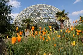 Herzlich willkommen auf den internetseiten des vereins der freunde und förderer des botanischen gartens wuppertal e.v. Botanischer Garten Heinrich Heine Universitat Dusseldorf Botanischer Garten Dusseldorf Garten