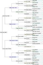 the gene pool colorful families jtr 6 generation pedigree chart