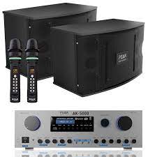 PEAK Karaoke PLATINUM PREMIUM STAGE II WIRELESS System -3000W – Peak Karaoke