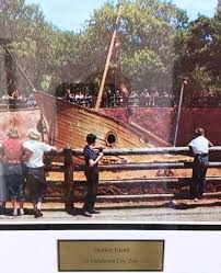 Okc Zoo Oklahoma City Zoo City Zoo Oklahoma History
