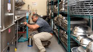 Commercial pest control in Lucknow