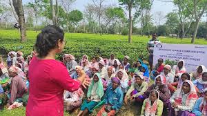 Skill Development Workshop