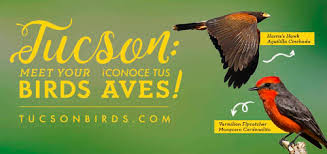 Buy or sell new and used items easily on facebook marketplace, locally or from businesses. Meet Your Common Birds Tucson Audubon Society