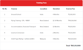 All application and processing takes place on air asia's website or authorized recruitment portal. Airasia India Cadet Pilot Program 2019 Cadet Pilot Program