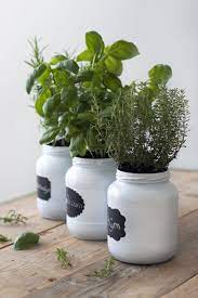 verse kruiden potjes keuken planten kruidentuin binnen tuin ideeen doe het zelf