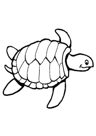 The turtle coloring pages are thus extremely popular among young children as this provides them with ample opportunities for exploring their creativity. Coloring Pages Turtle Coloring Page 11