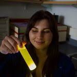 Sarah Lindbom's Instagram, Twitter & Facebook