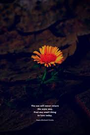 Time For Stillness Nature Quotes Beautiful Nature Quotes Soul Quotes