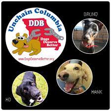 (columbia) hide this posting restore restore this posting. Pets For Sale In Columbia Missouri On Craigslist The Y Guide