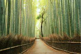 Japan synonyms, japan pronunciation, japan translation, english dictionary definition of japan. 25 Most Beautiful Places In Japan Conde Nast Traveler