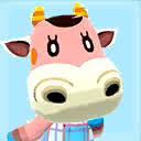 Maybe you would like to learn more about one of these? Norma Animal Crossing Wiki Nookipedia