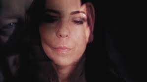 Sociology by Waveney Wilcox