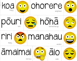 Magnetic Maori Feelings Emojis Maori Maori Words Maori