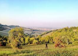 7,845 likes · 33 talking about this · 857 were here. Dieci Cose Da Vedere A Bologna Fuori Dal Centro Alla Fine Di Un Viaggio