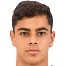 Alex Sandor FM 2021 Profile, Reviews