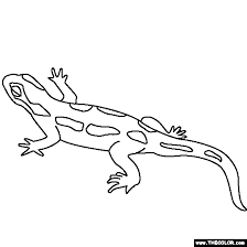 April 12th, 2017 06:53:48 amnewtadmin. Salamander Coloring Page Coloring Pages Salamander Color