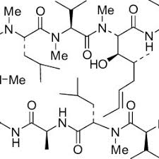 Image result for Cordia goetzei