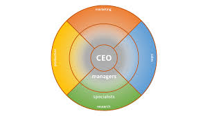 Organizational Structures An Explanation Ionos