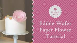 Rice paper flowers for decoupage. Edible Wafer Paper Flower Tutorial Cake Decorating Tutorial Youtube