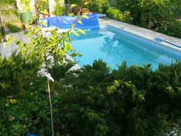 Zudem muss der boden gerade sein und sollte zumindest über eine feste plattierung verfügen. Wie Teuer Ist Es In Seinem Garten Ein Pool Zu Bauen Geld Haus Wasser