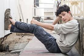 Lucas zumann is an american famed star of netflix's drama tv series anne with an e, in which he played the supporting role of gilbert blythe. Lucas Jade Zumann Chats Anne With An E On Netflix Gilbert And Anne Gilbert Blythe Lucas