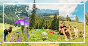 (employees and sales figures are modelled). Piatra Craiului Romania Day Hike ZÄƒrnesti Canyon And CurmÄƒtura Chalet One Trip Further