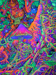 Pin On Trippy