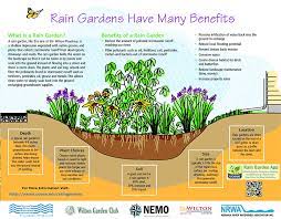 Check spelling or type a new query. Rain Gardens Norwalk River Watershed Association
