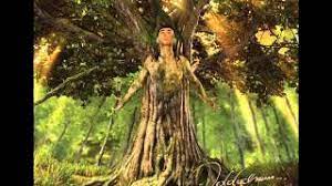 This opens in a new window. Kamil Bednarek Euforia Album Oddycham 2015 Youtube