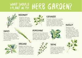 Concerned about skin cancer risks. Make Your Own Indoor Herb Garden Easiest Plants To Grow Indoor Herb Garden Herbs