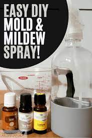 Homemade Mildew Removal Spray Mold Too Mildew Remover Mold And Mildew Remover Diy Molding