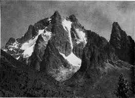 Image result for Struthiola scaettae