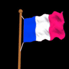 The french flag dates back to the days of the french revolution. Top 30 France Flag Gifs Find The Best Gif On Gfycat