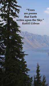 Trees Are Poems That Earth Writes Upon The Sky Kahlil Gibran On Crater Lake National Park Image E Nature Quotes Trees Save Nature Quotes Nature Quotes