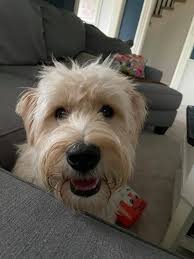 The bit i couldn't resist! The sausage eating contest . The girl 4th in  from the left won! Oh what fun 😹😹😹