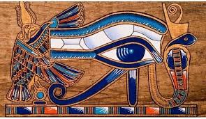 Image result for Pineal Gland