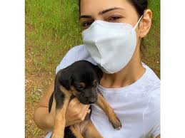 Fundraiser by Michelle Marblo : Help Our Strays