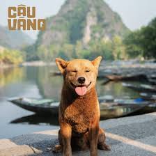 Hai ông cháu quây quần bên nhau sớm hôm, có cháo ăn cháo, có rau ăn rau, cùng khóc, cùng cười, cùng đối mặt, đánh đuổi bè lũ cường. Hinh áº£nh Má»›i Nháº¥t Vá» Chu Cho Vao Vai Cáº­u Vang
