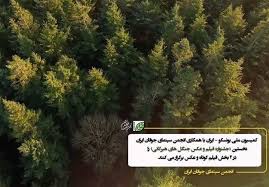 بیش از ۳۰۰ عکس به نمایشگاه عکس «جنگل های هیرکانی»رسید - مجله ...
