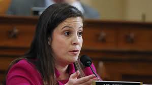 At least four candidates seek Rep. Elise Stefanik's seat in Congress