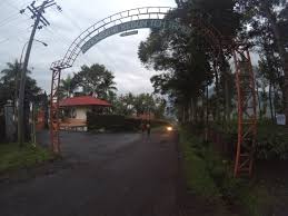 We did not find results for: Mengunjungi Agrowisata Kebun Teh Tambi Wonosobo Ardian Kusuma