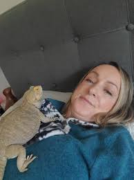 Bearded dragon enjoys watching cars