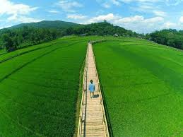 Buatlah paragraf deskripsi yang menggunakan. 30 Contoh Teks Deskripsi Yang Baik Dan Benar Dalam Berbagai Kasus