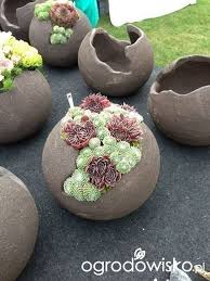 Schauen Sie Sich Diese Sussen Saftigen Gartenideen An Garten Homegrown Garden Dekoren In 2020 Vorgarten Design Vorgarten Betongarten