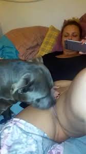 Video Grátis De Cachorro Lambendo A Buceta Grande Da Mulher - Zoofilia