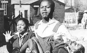 It is observed by 18 countries, on many dates throughout the year. Happy Youth Day South Africa Lgbt Amino