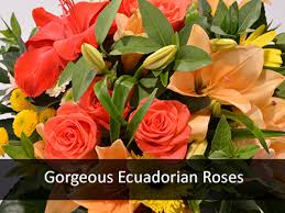 Maybe you would like to learn more about one of these? Flowers Veldkamps Flowers Blog