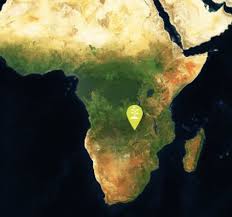 Image result for Physostigma mesoponticum